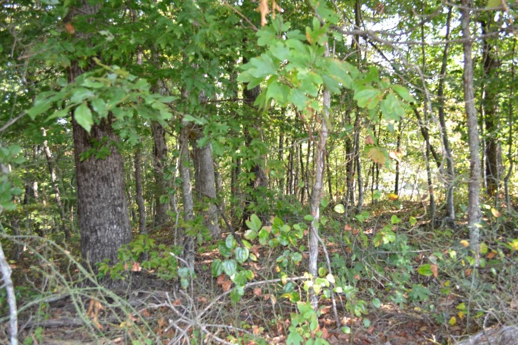 Picture 21