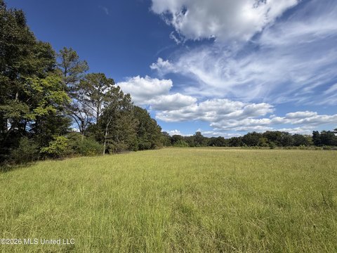 Land, Canton, MS
