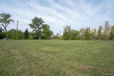 Residential Lots in North Corktown