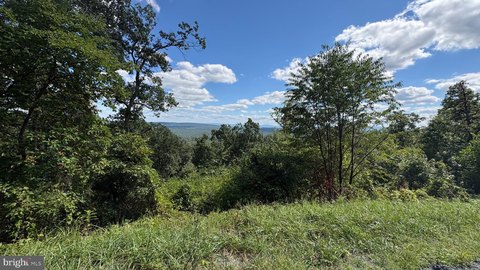 Land, WINCHESTER, VA