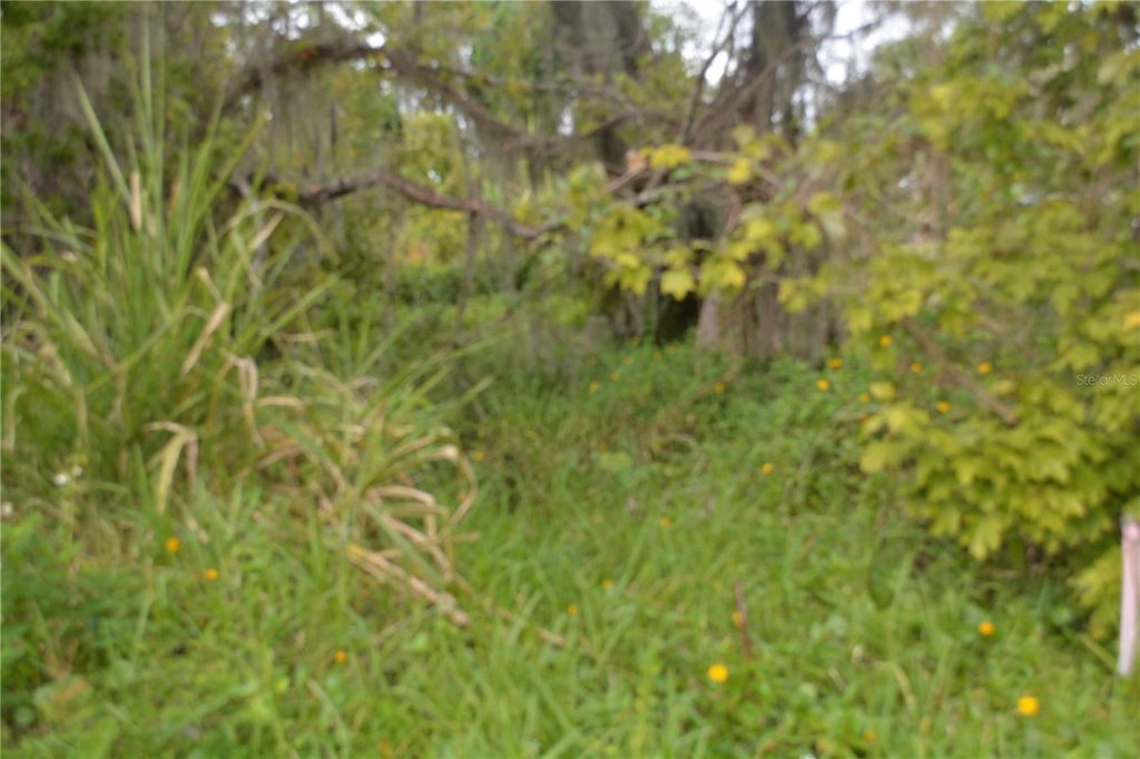 Picture 14