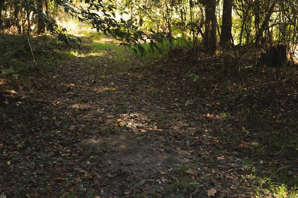 Picture 21
