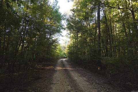 480 Acres Timberland and Recreation