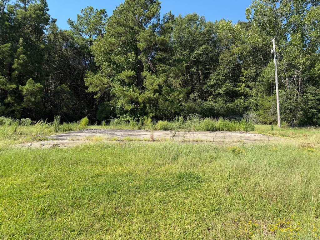 Picture 25