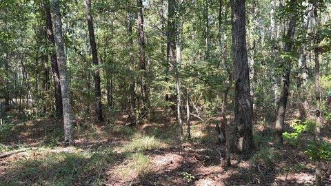 Land, Hornbeck, LA
