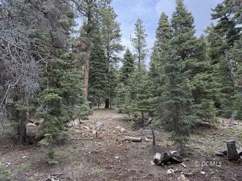 Wooded Lot in Duck Creek