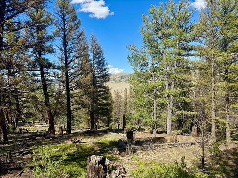 Picturesque Land Near Breckenridge Skiing