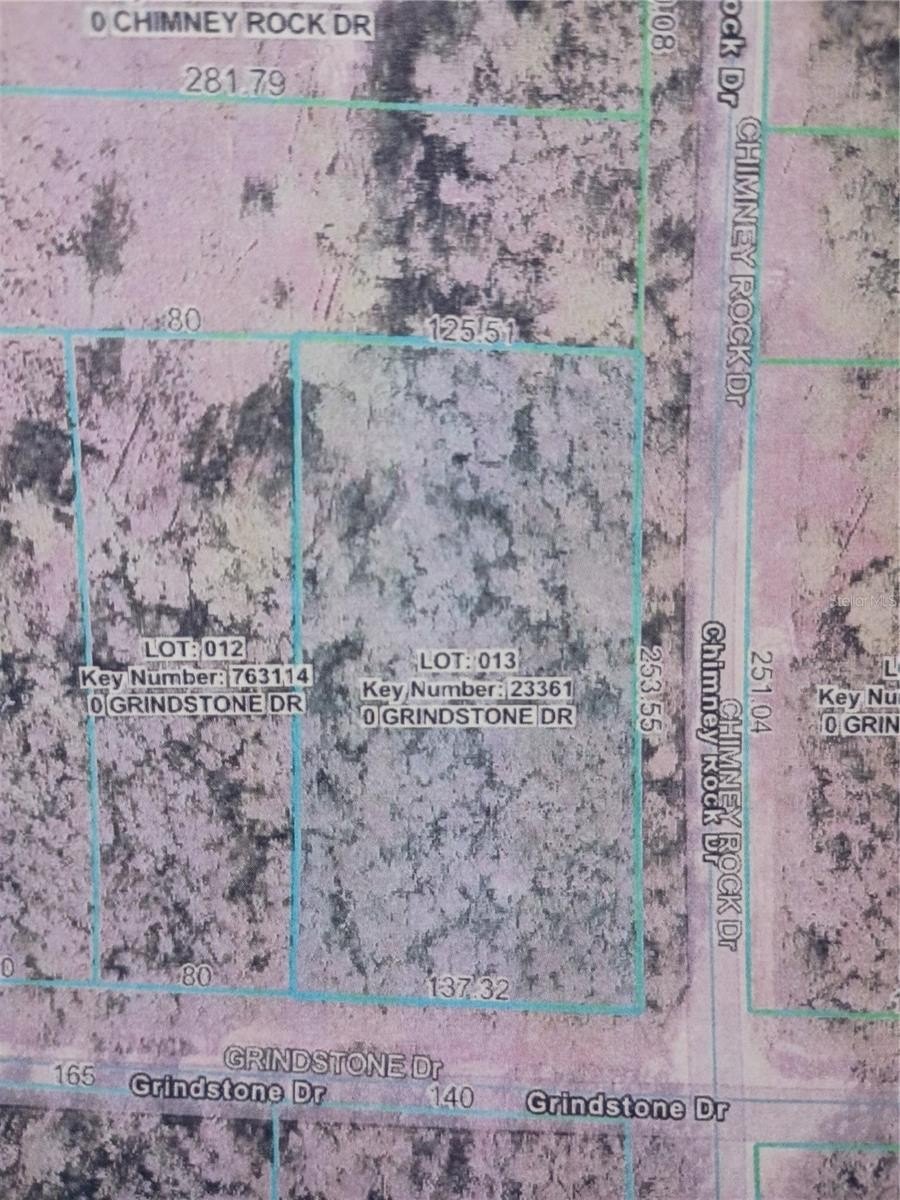 Wooded Lot in Ridge Manor