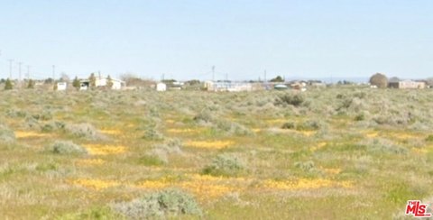 Land in Peaceful Rosamond Community