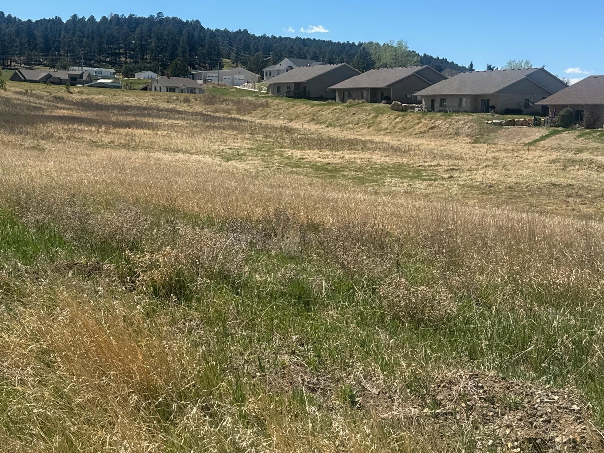 Residential Lot with Mountain Views