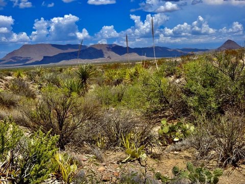 LAND - Terlingua, TX