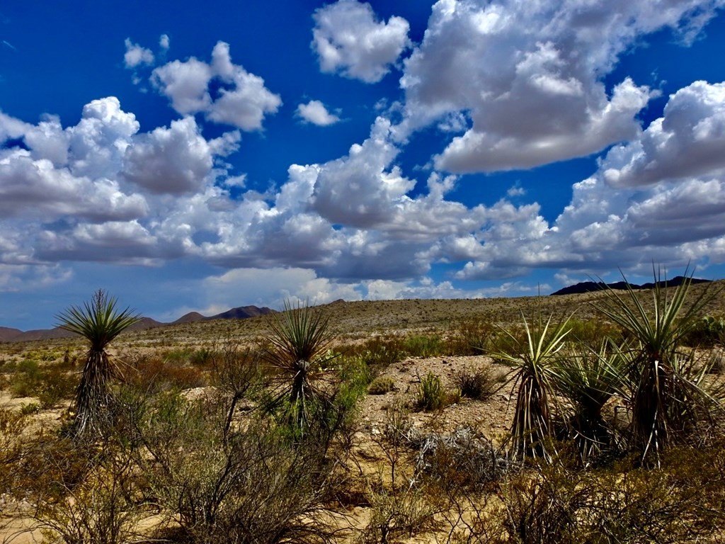 Picture 22