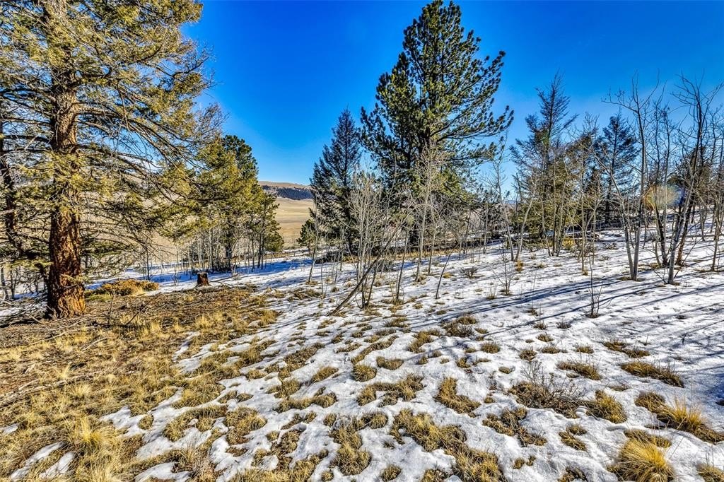 Redhill Forest Treed Land Parcel