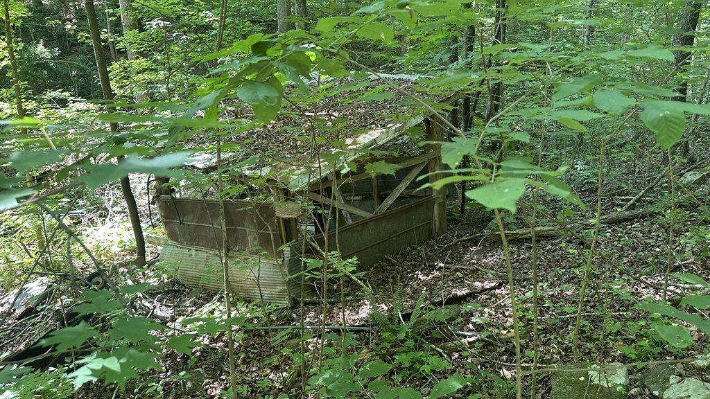 Picture 2