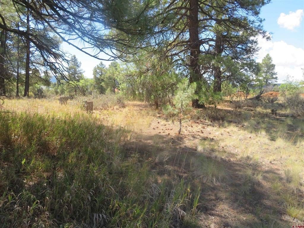 Picture 18