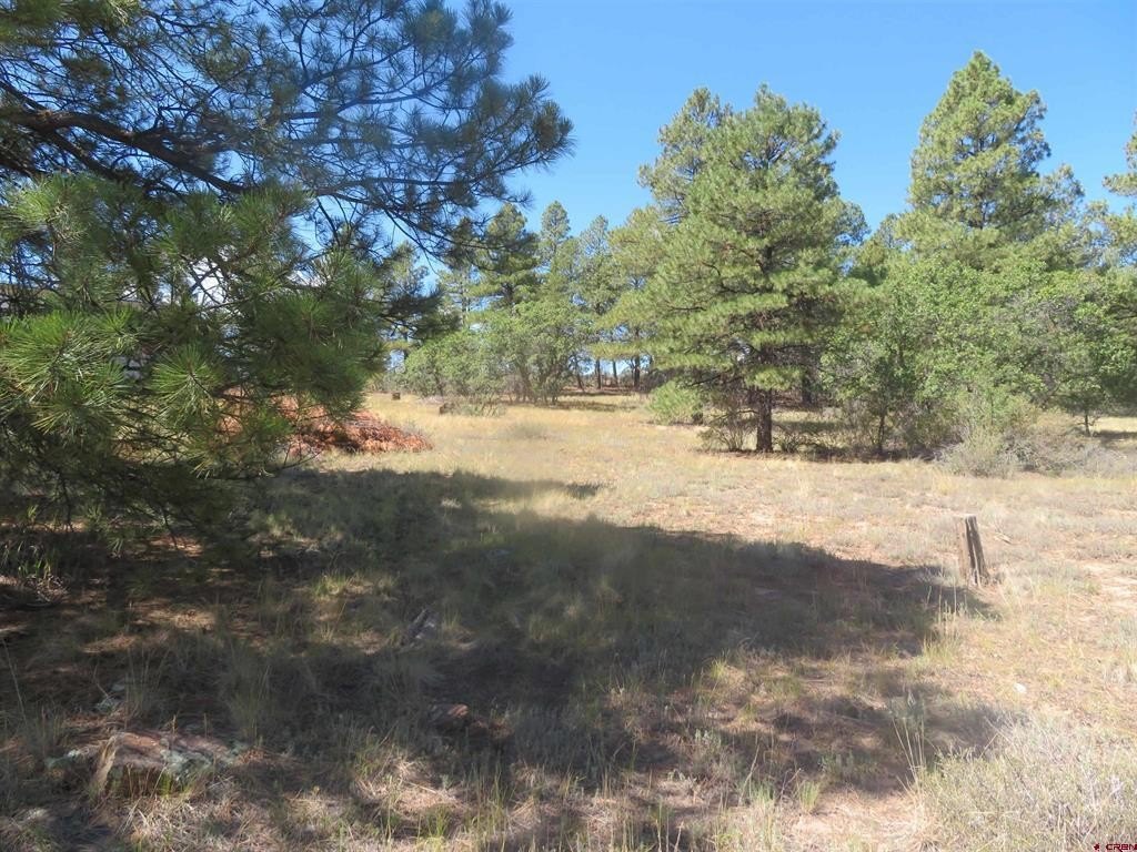 Picture 14