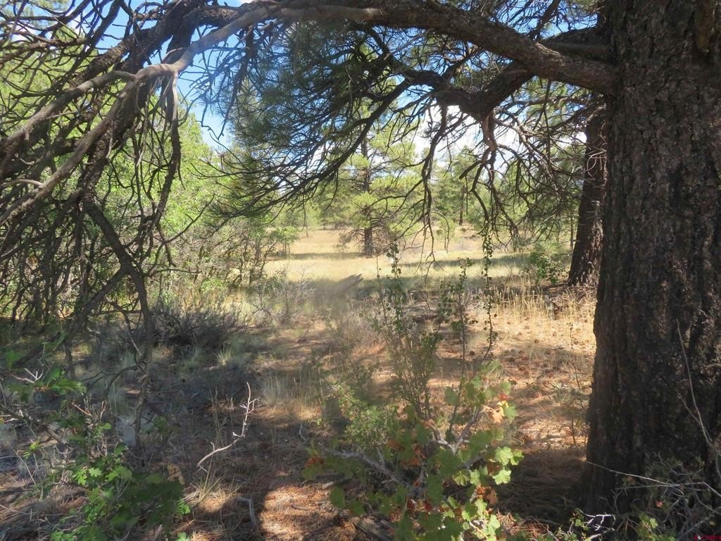 Picture 10