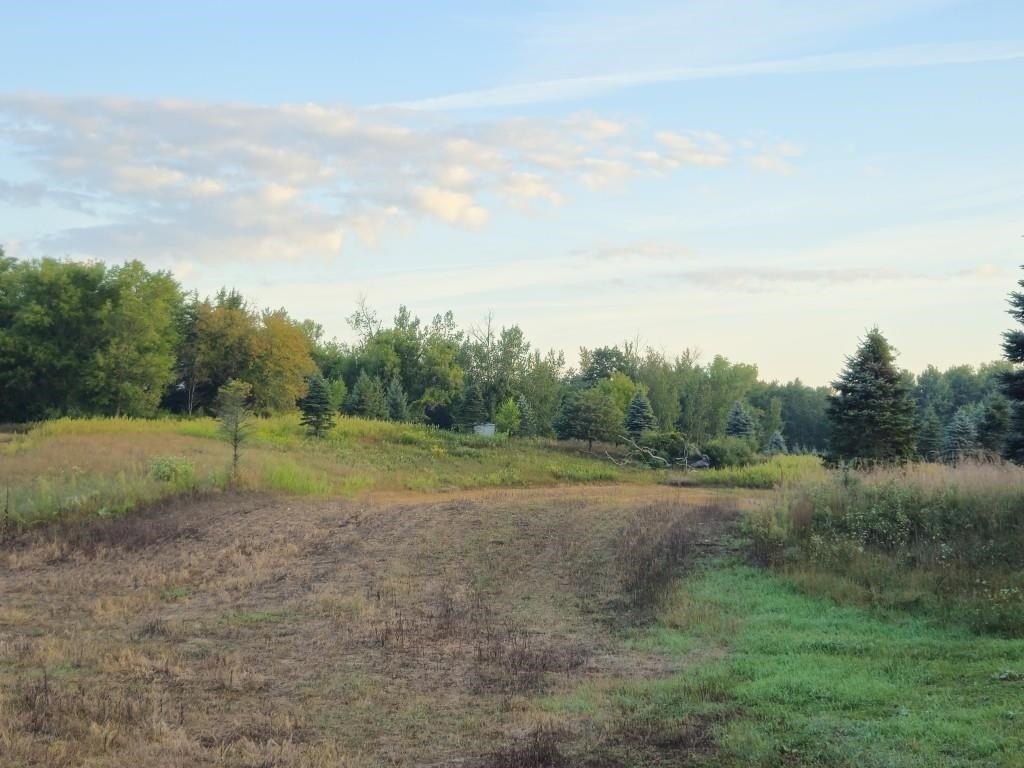 Picture 45