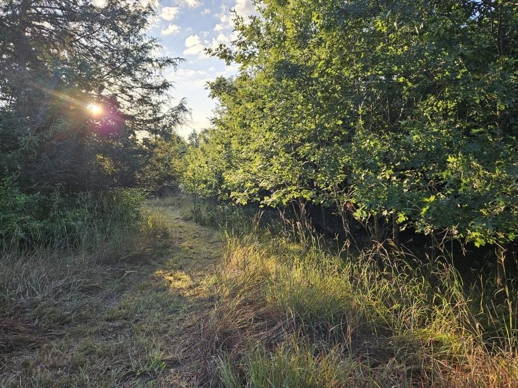 Picture 65