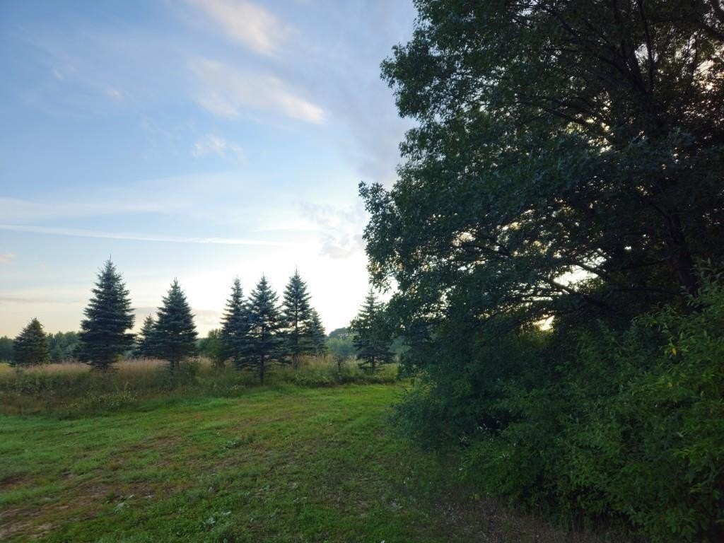 Picture 46