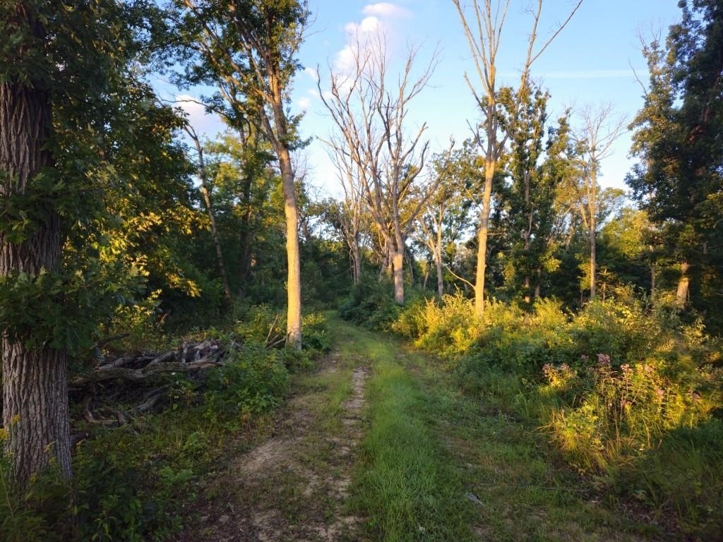 Picture 29
