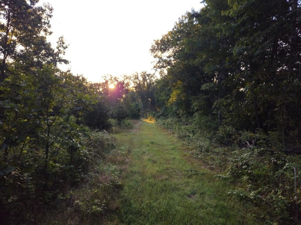 Picture 19