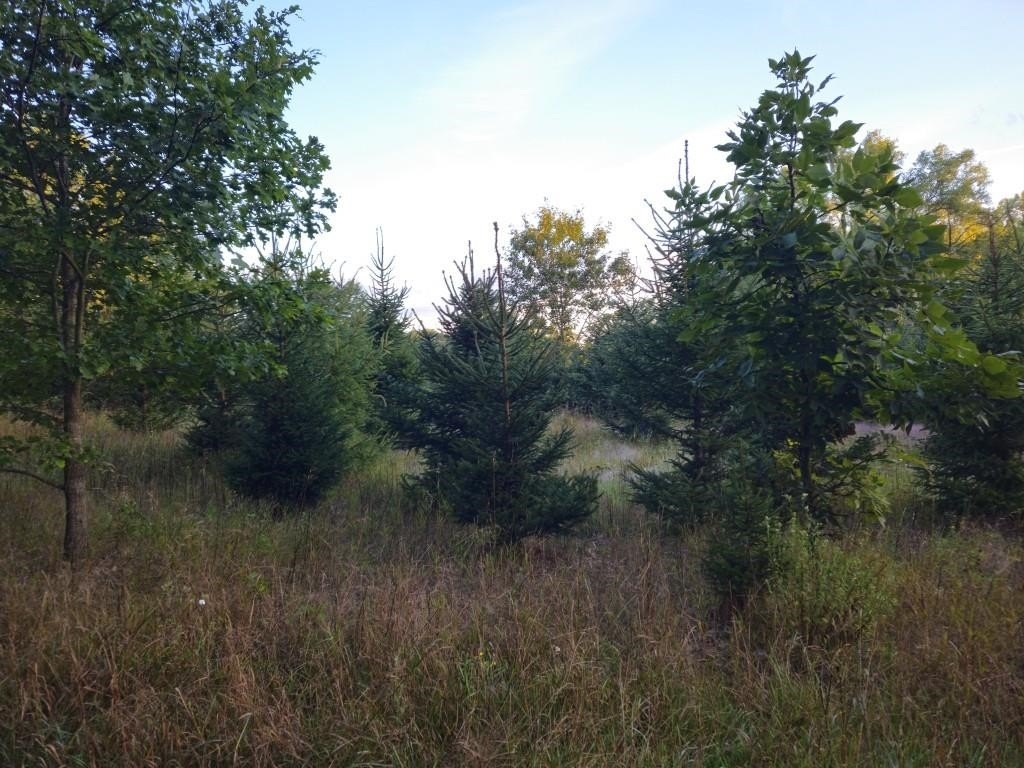 Picture 23