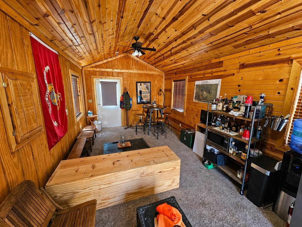Picture 8