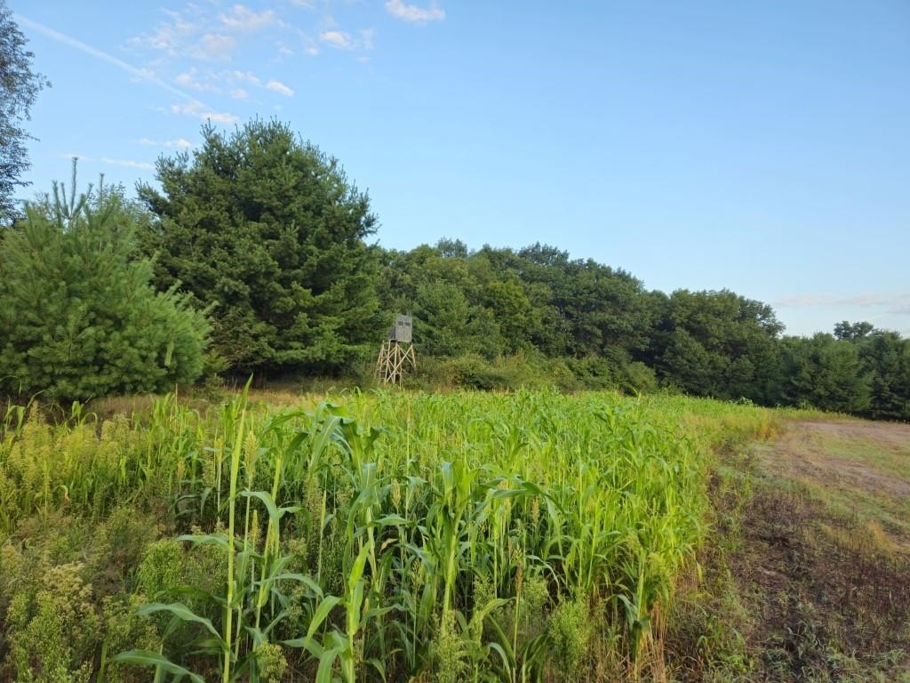 Picture 40