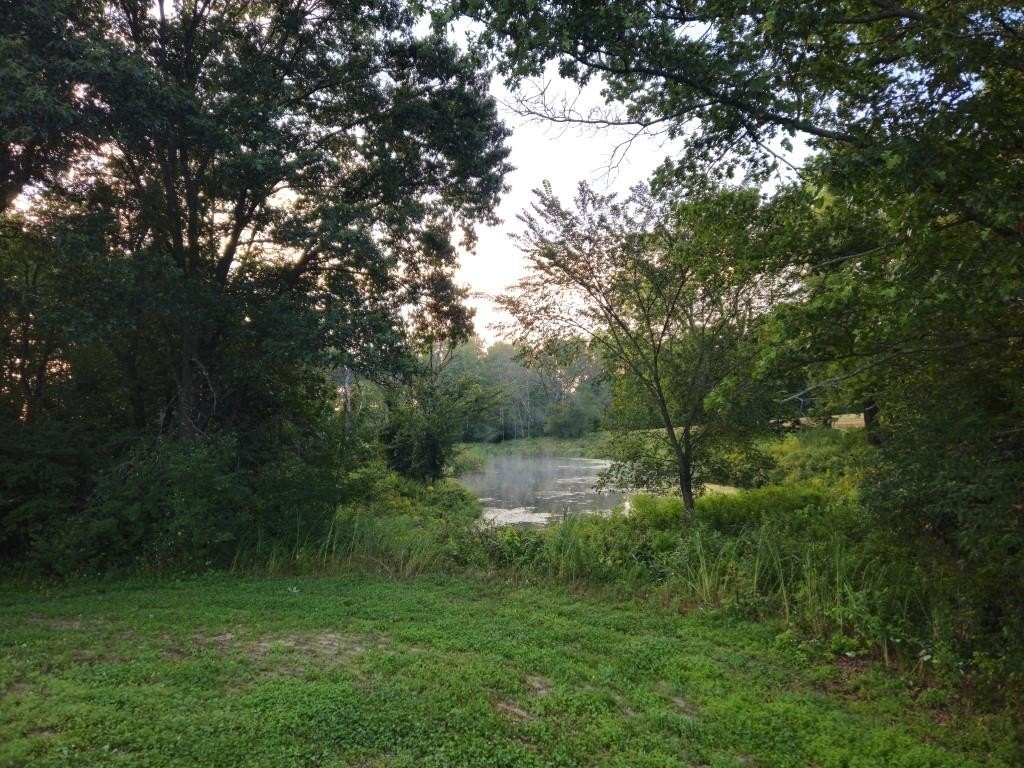 Picture 48