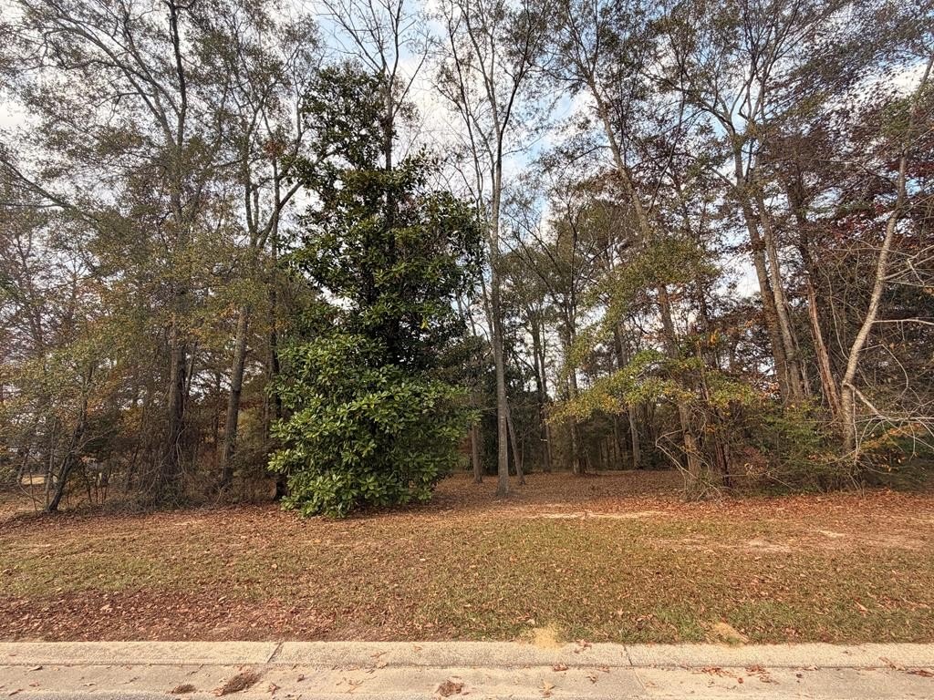 Picture 3