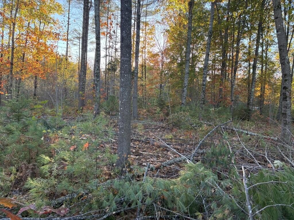 Picture 3