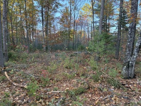 Land, Farmington, ME