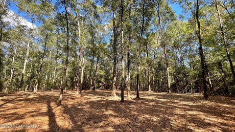 Land, Saucier, MS