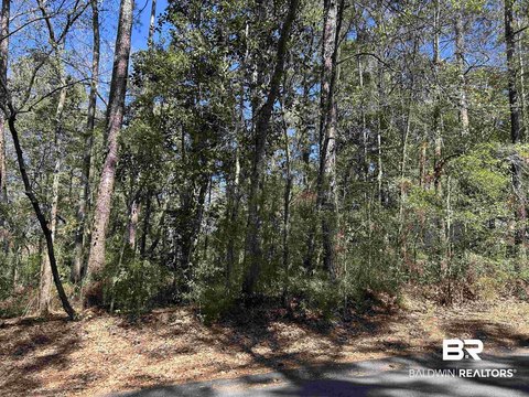 Wooded Residential Buildable Lot