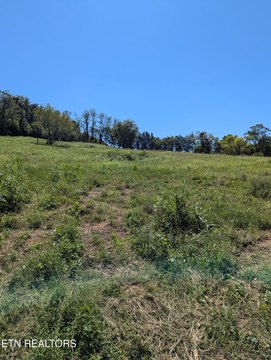 Lots & Acreage, Mascot, TN