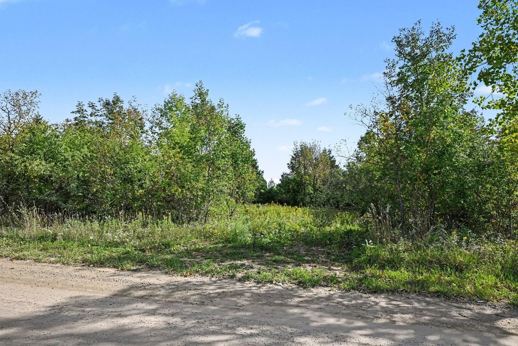 Picture 19