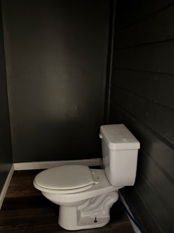 Picture 7