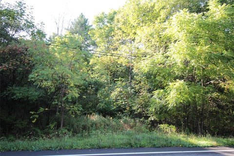 Land, BINGHAMTON, NY