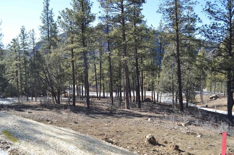 Durango Residential Land Opportunity