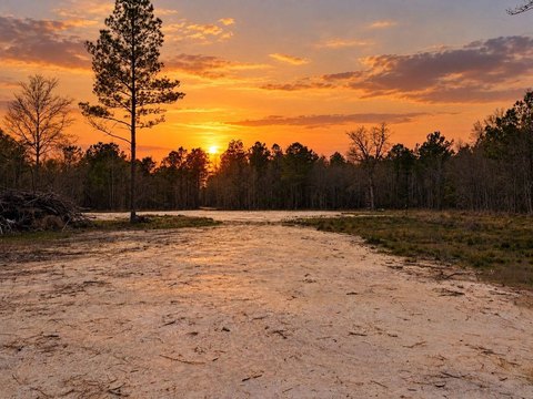 Land, Holden, LA