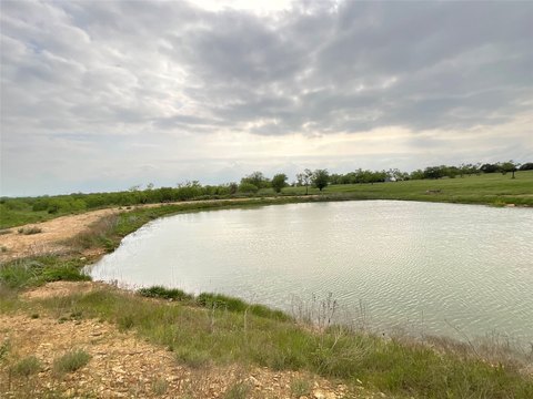 Scenic Ranch Acreage with Mature Trees