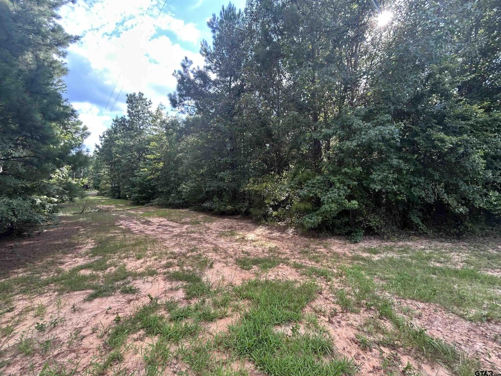 Picture 19