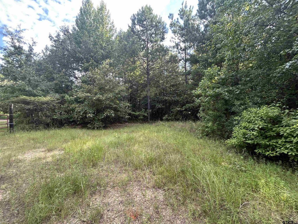 Picture 14