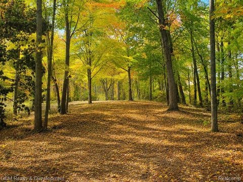 LAND - Salem Twp, MI