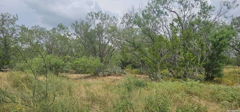 Picture 36