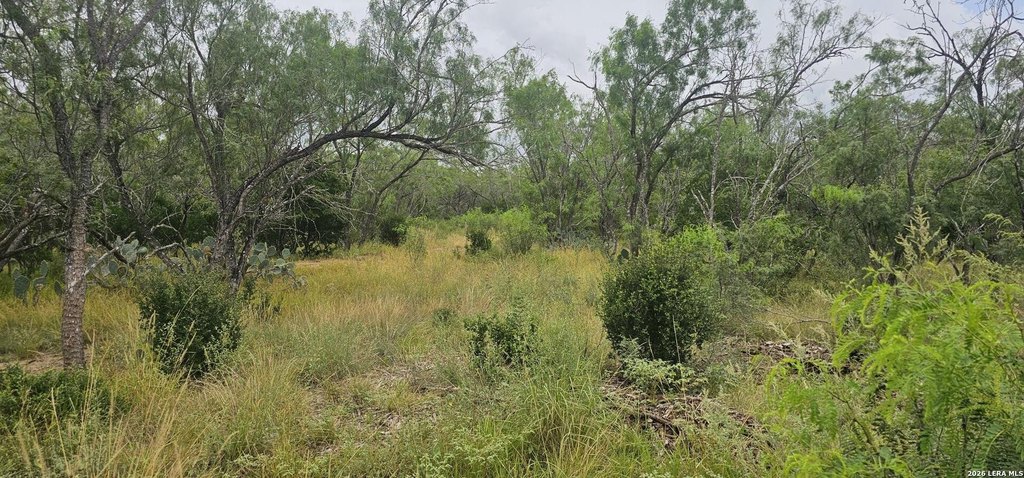Picture 21