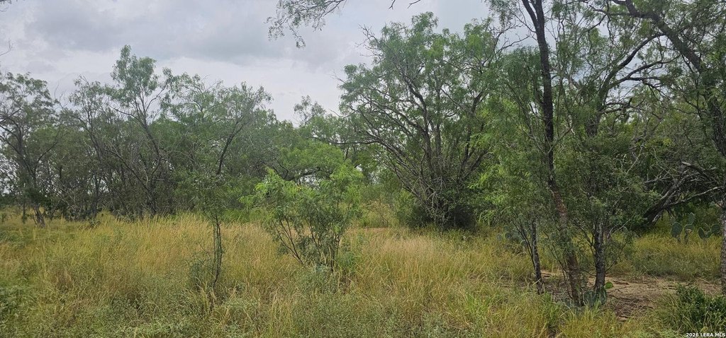 Picture 23