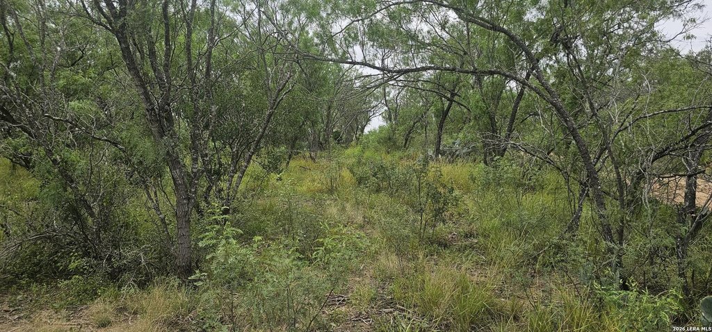 Picture 26