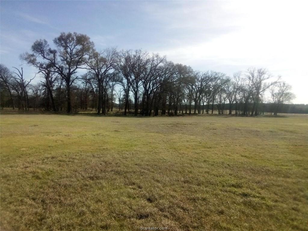 Spacious 14 Acre Lot